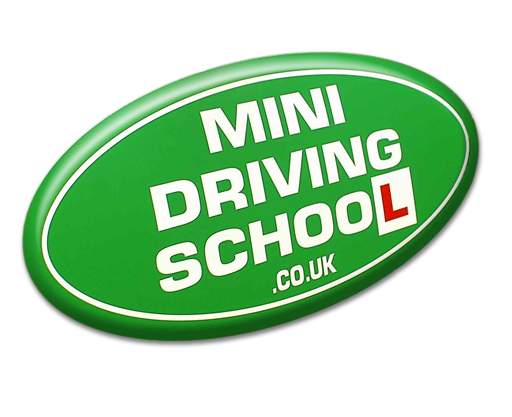 Mini Driving School